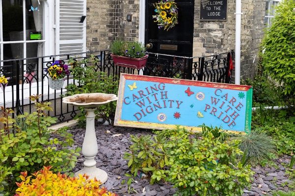 mature trees in the garden