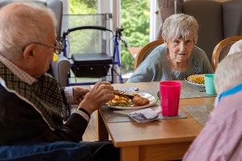 social dining